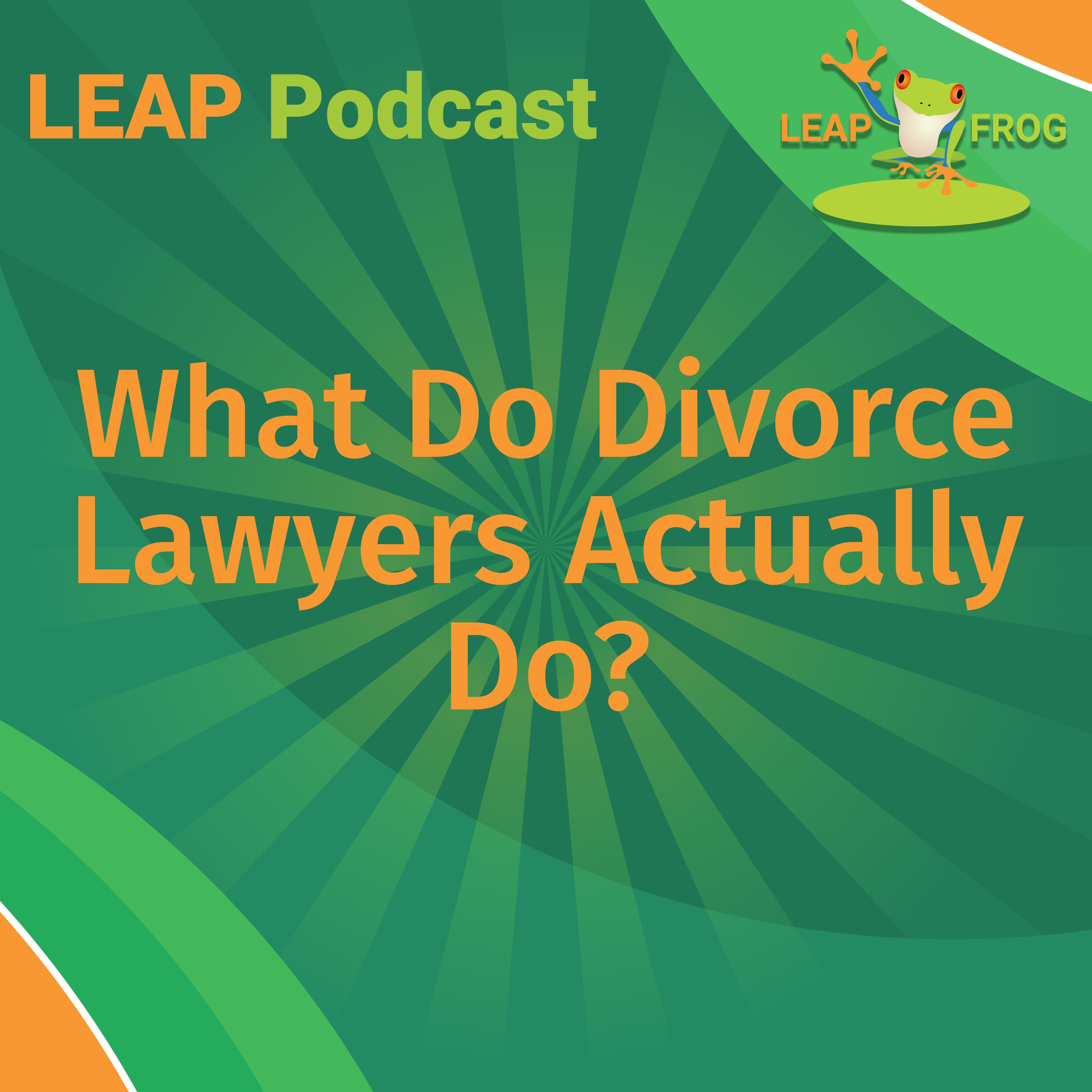 what do divorce lawyers actually do LEAP Podcast cover art