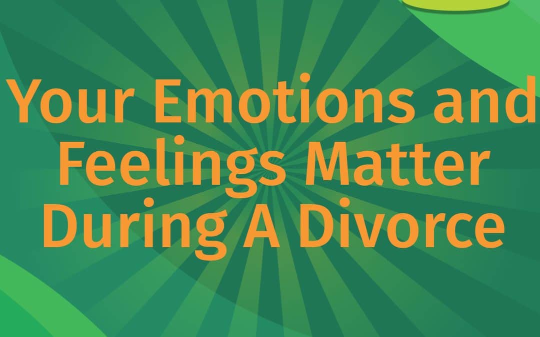 Your Emotions and Feelings Matter During a Divorce, LEAP podcast episode cover art