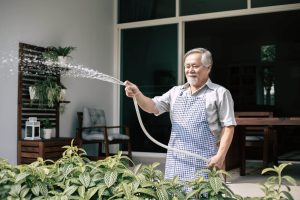 senior man watering plants